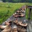 Site specific installation (Hudson Highlands Nature Museum)